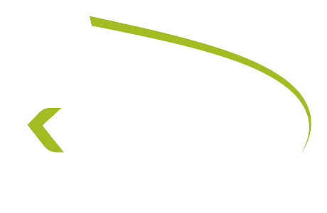 لوگوی کاریزما